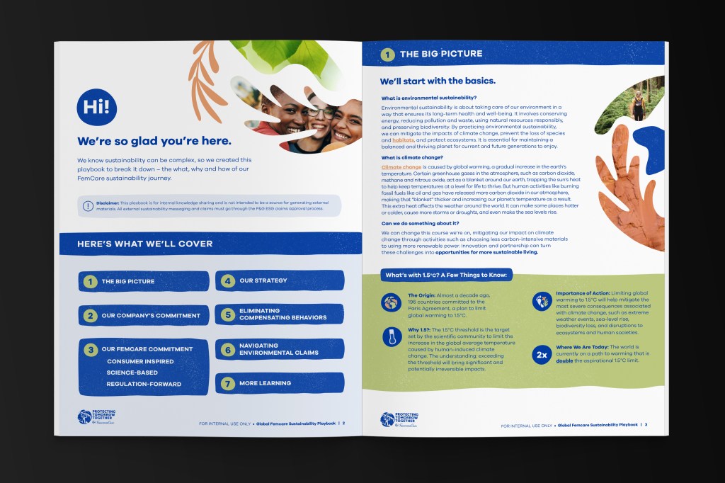 P&G Global FemCare Playbook pages 2 and 3